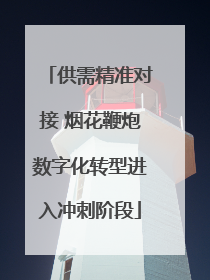 供需精准对接 烟花鞭炮数字化转型进入冲刺阶段